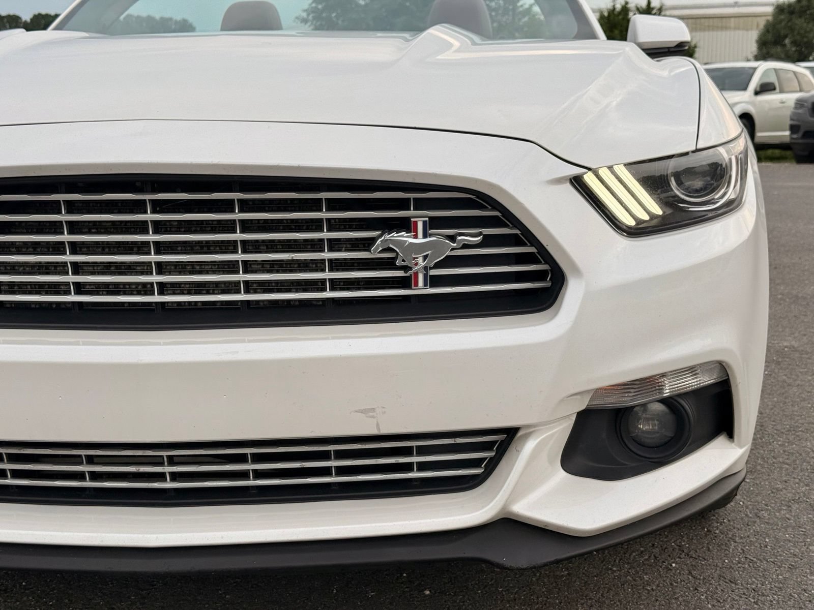 Used 2017 Ford Mustang Premium w/ Equipment Group 201A RWD image 15