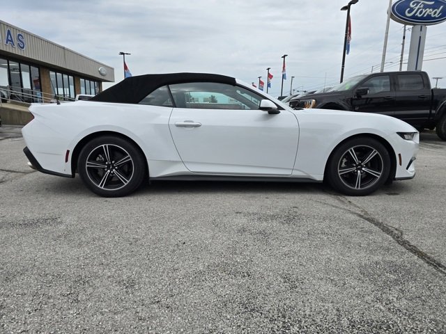 Used 2024 Ford Mustang Premium image 2