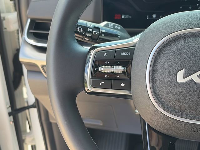 Used 2025 Kia Carnival SX Prestige image 23