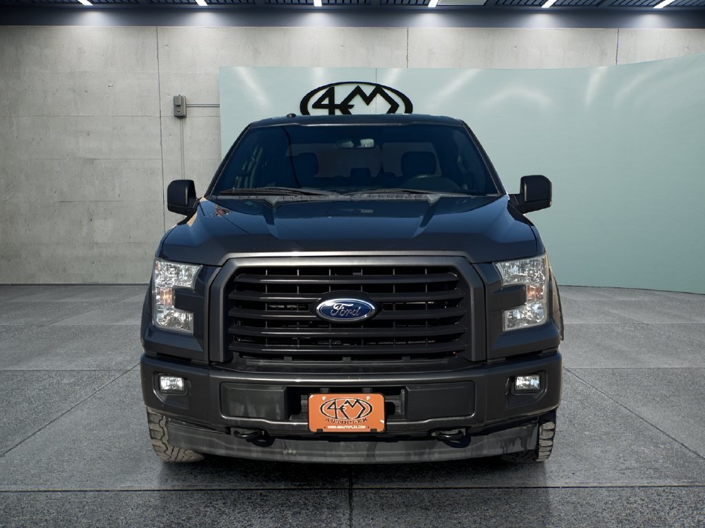 Used 2017 Ford F150 XLT w/ Equipment Group 302A Luxury AWD/4WD image 10