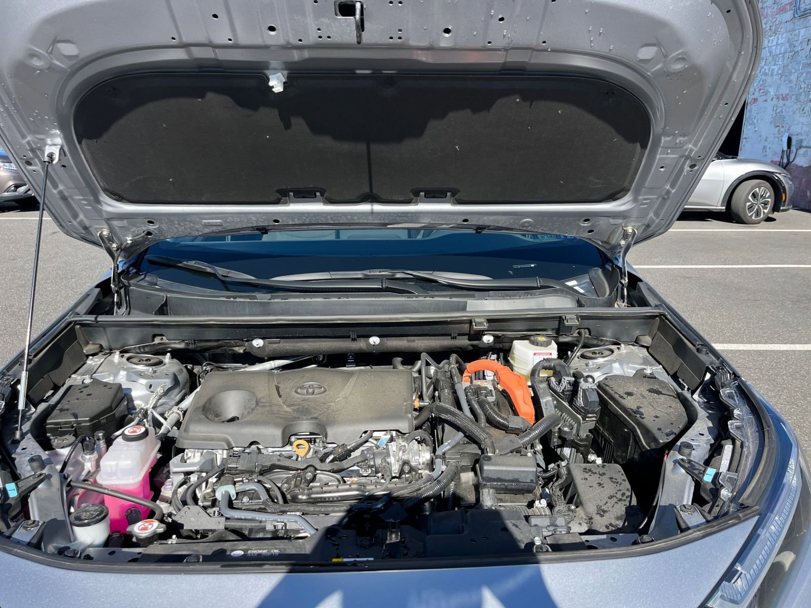 Used 2025 Toyota RAV4 LE image 31