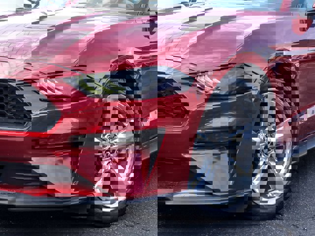 Certified 2019 Ford Mustang Premium w/ Equipment Group 201A RWD image 3