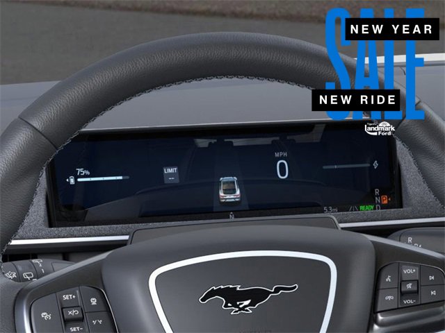 New 2025 Ford Mustang Mach-E GT w/ Interior Protection Package image 13