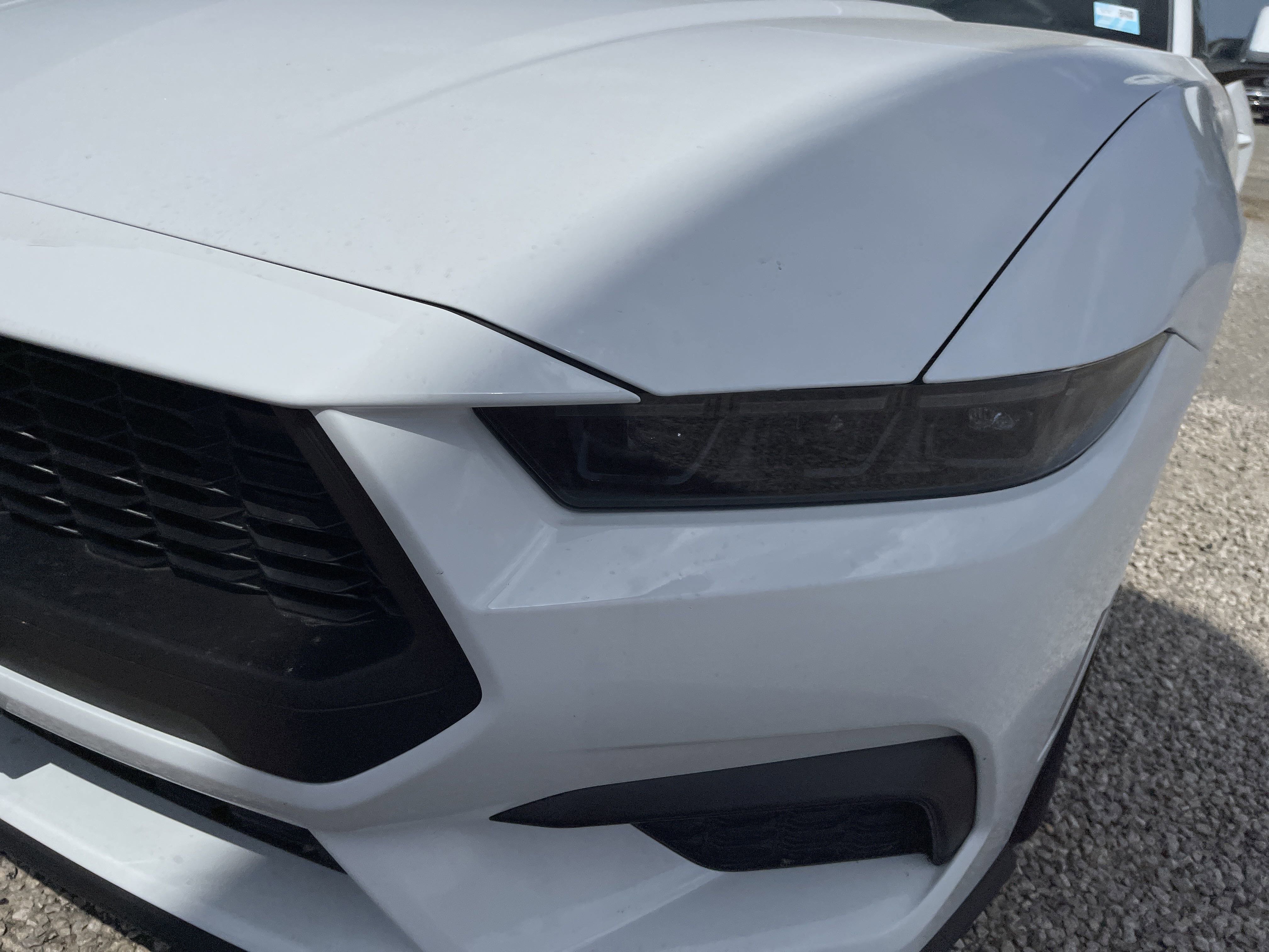 New 2025 Ford Mustang Coupe image 10