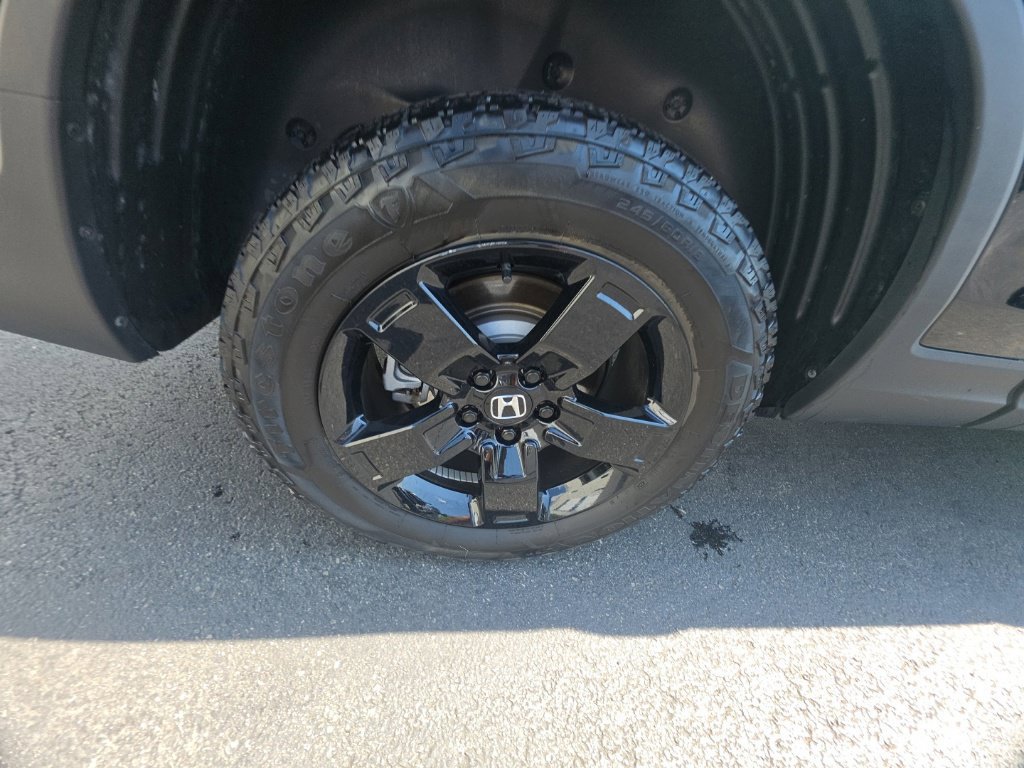Certified 2025 Honda Ridgeline Black Edition image 11