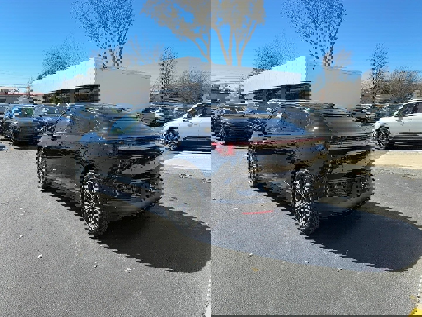 New 2026 Polestar Polestar 4 image 5