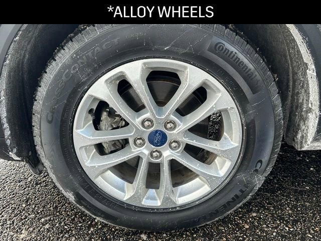 Used 2022 Ford Escape SE w/ Cold Weather Package image 14