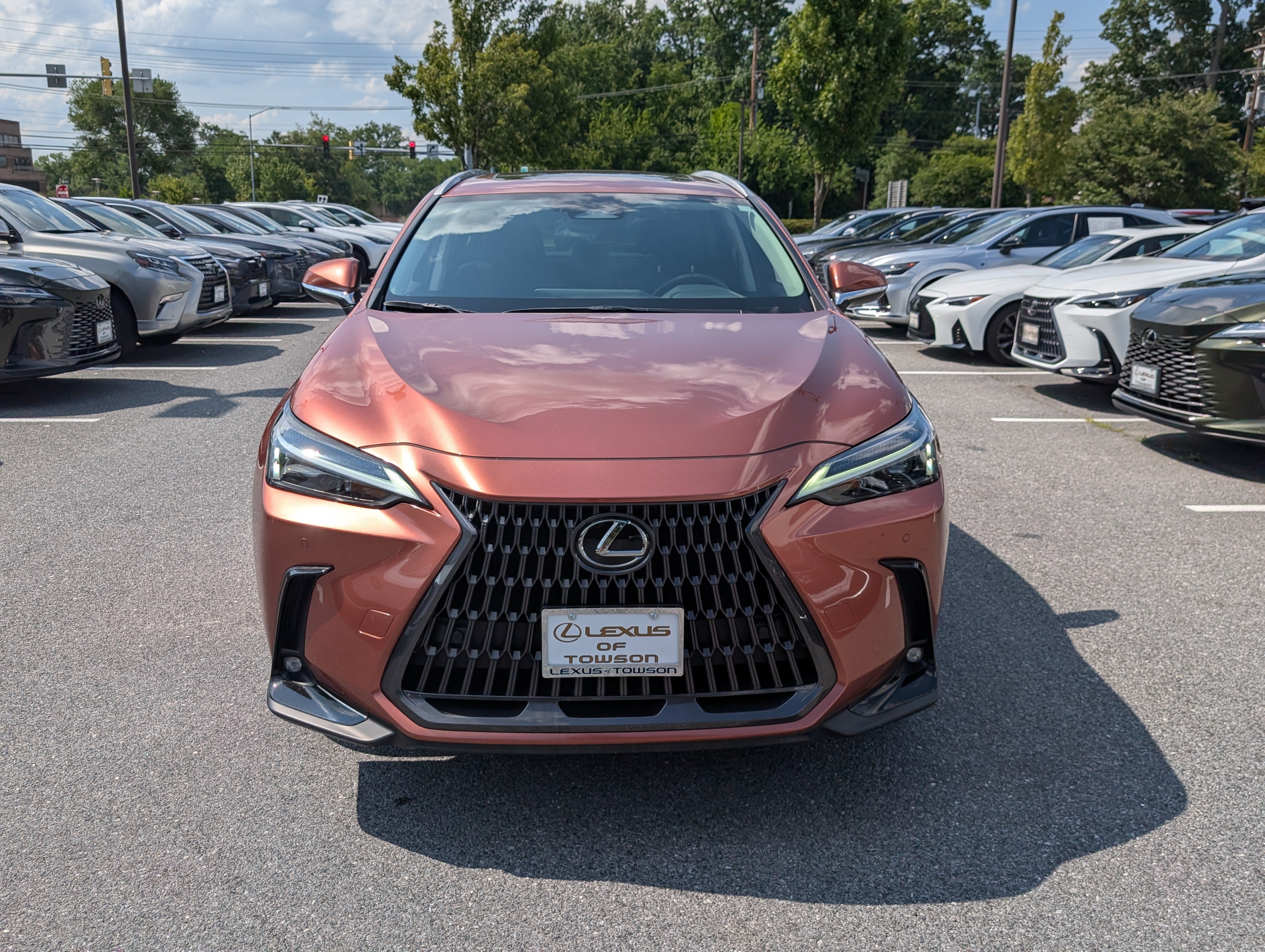 Certified 2025 Lexus NX 350h AWD w/ Cold Area Package image 8