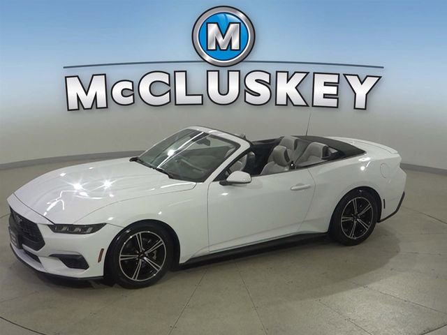 Used 2024 Ford Mustang Premium RWD image 1