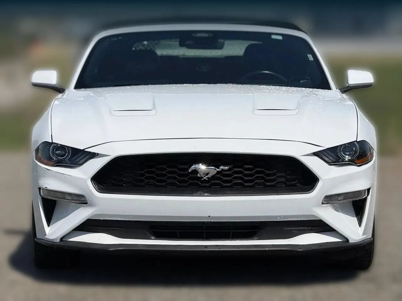 Used 2023 Ford Mustang Premium RWD image 5