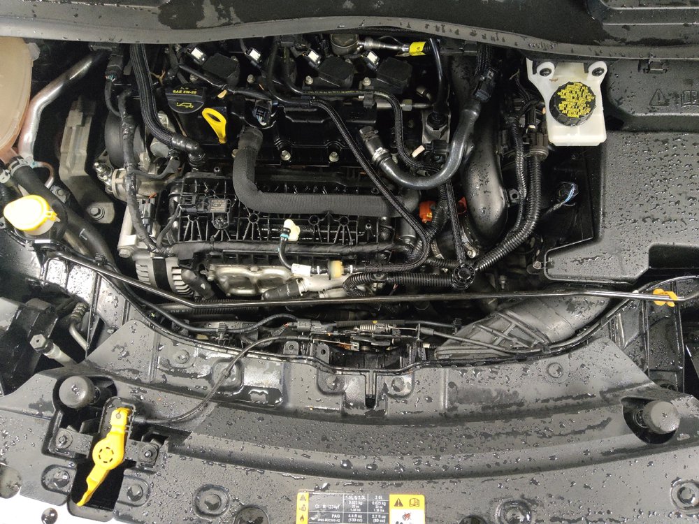 Used 2019 Ford Escape SE FWD image 30