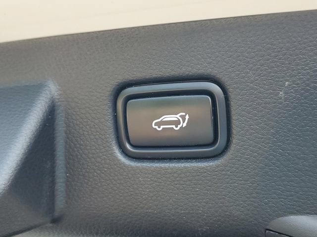 Used 2025 Kia Seltos EX w/ EX Sunroof Package AWD/4WD image 8