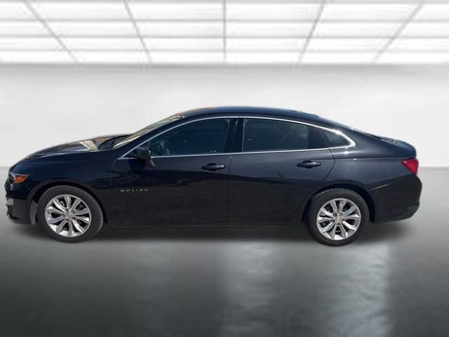 Certified 2023 Chevrolet Malibu LT image 3