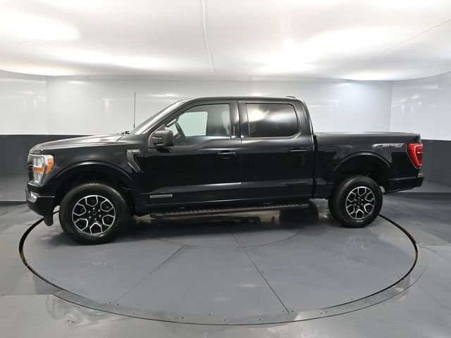 Used 2022 Ford F150 XLT w/ Equipment Group 301A Mid AWD/4WD image 8
