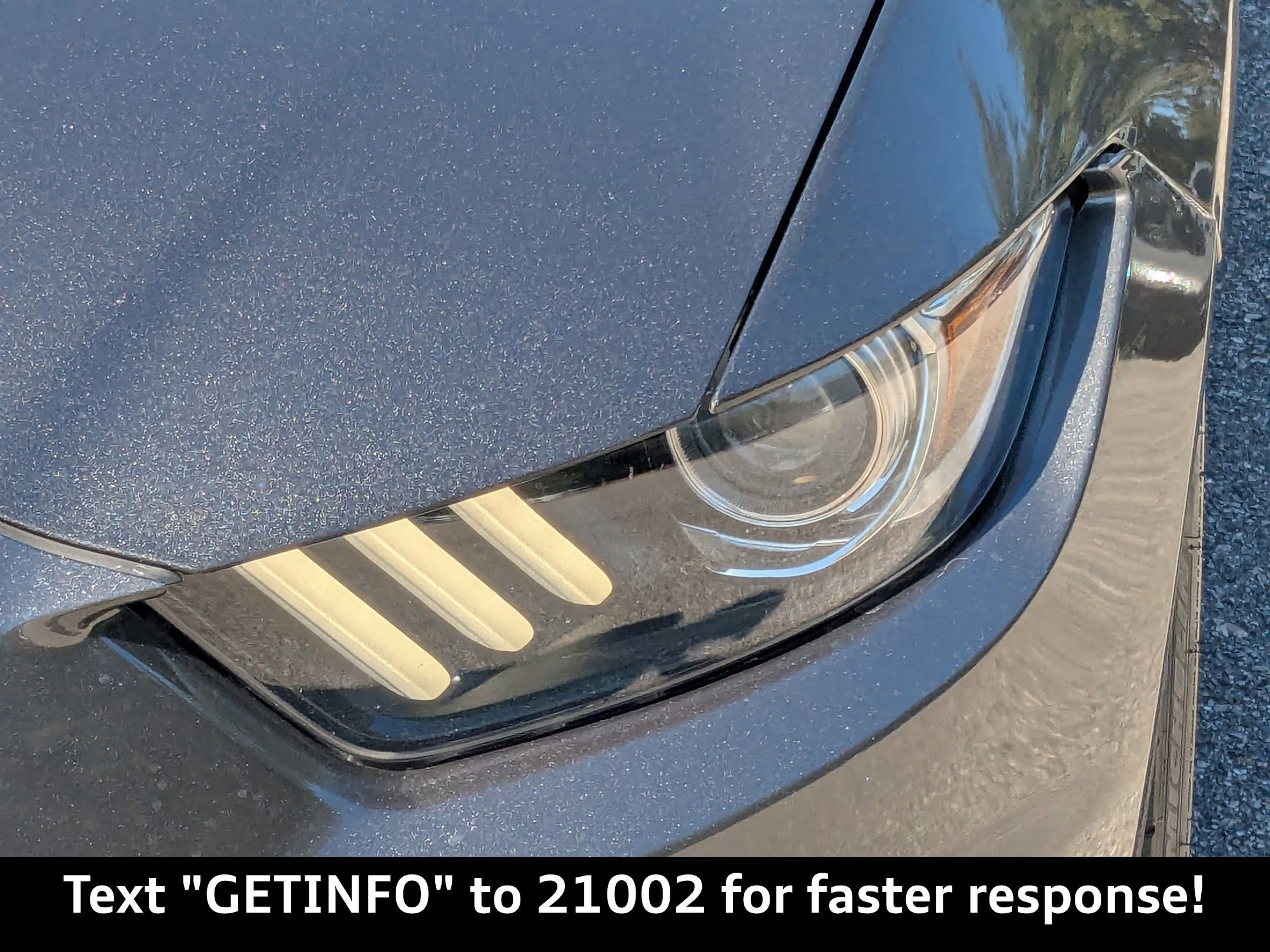 Used 2016 Ford Mustang Shelby GT350 w/ Technology Package image 10