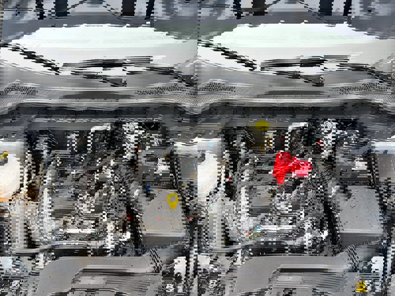 Used 2022 Ford Escape SEL image 15