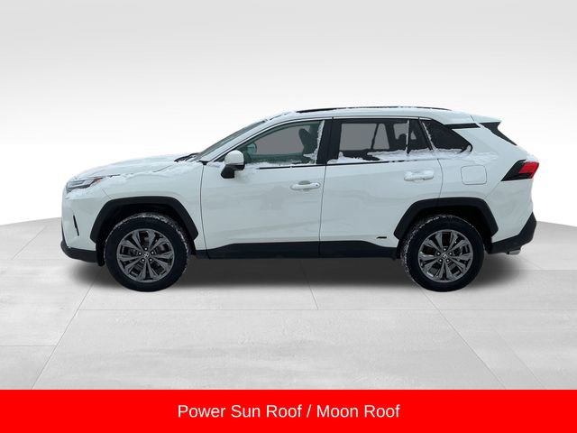Used 2022 Toyota RAV4 XLE Premium image 4