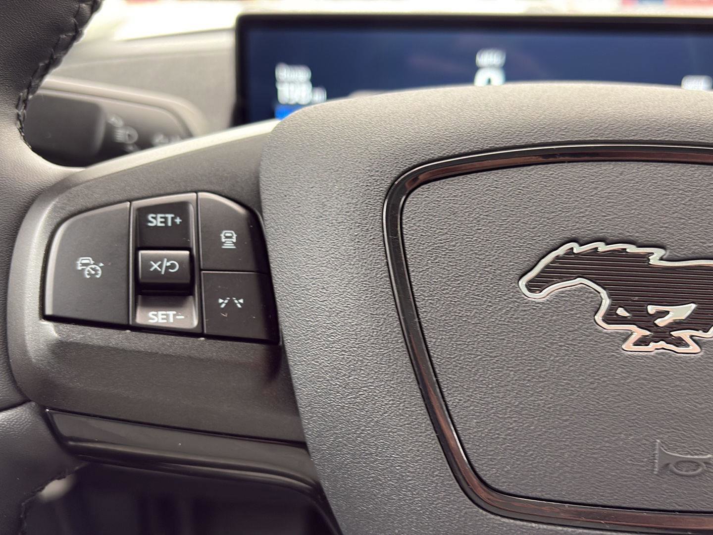 Used 2021 Ford Mustang Mach-E Premium image 10