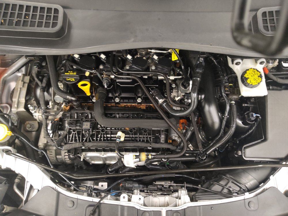 Used 2019 Ford Escape SEL FWD image 30