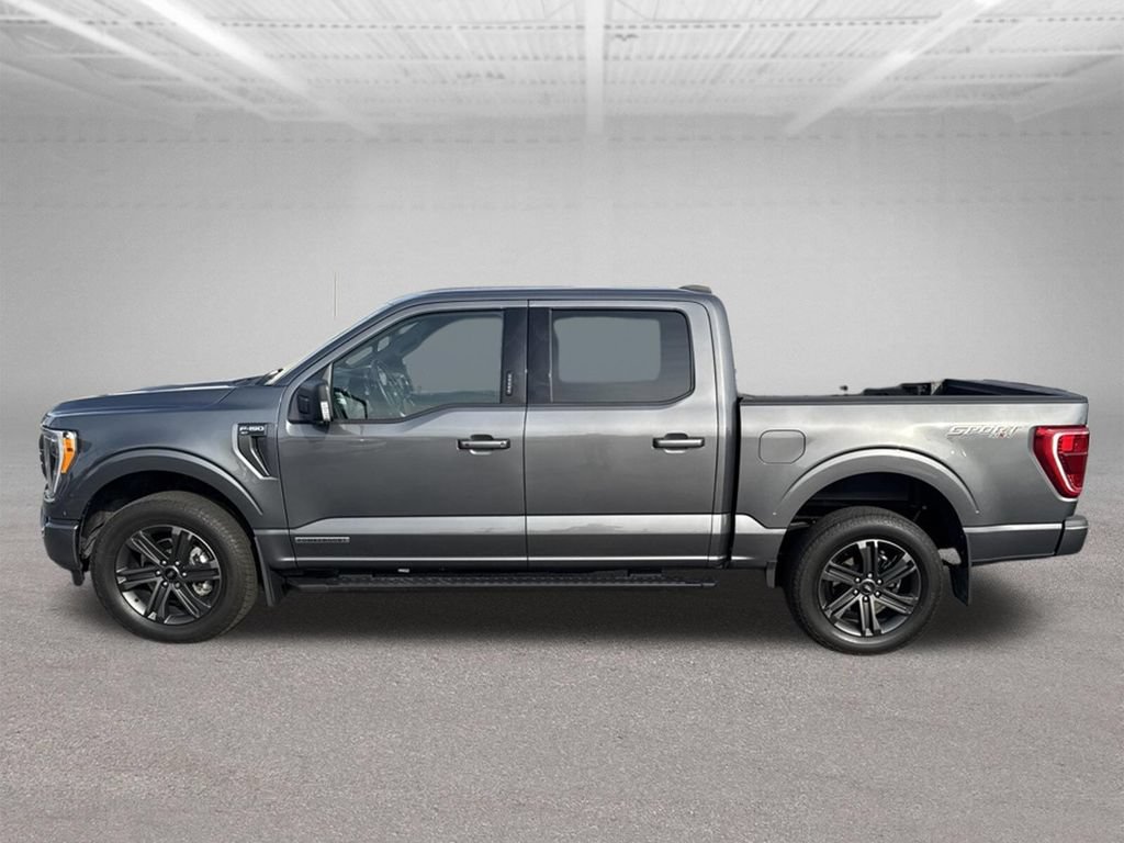 Used 2023 Ford F150 XLT w/ Equipment Group 302A High AWD/4WD image 17
