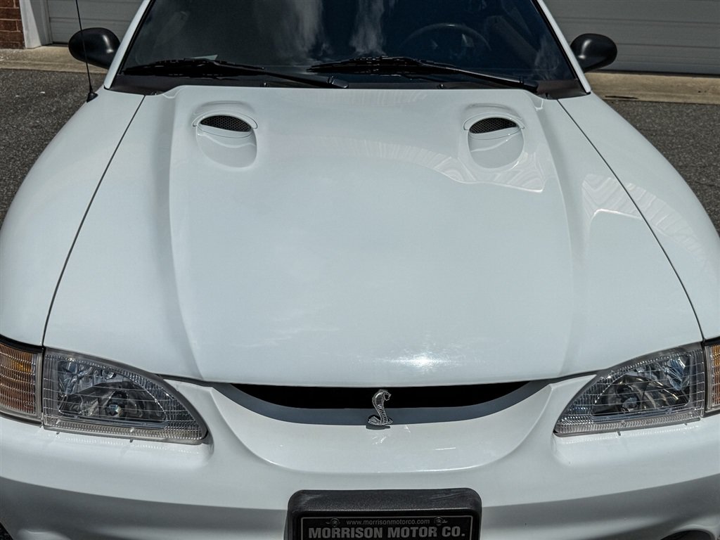 Used 1997 Ford Mustang Cobra RWD image 13