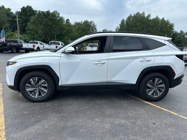 Used 2023 Hyundai Tucson Blue AWD/4WD image 4