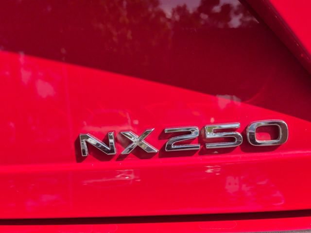 Used 2025 Lexus NX 250 FWD w/ Accessory Package (K3) image 13