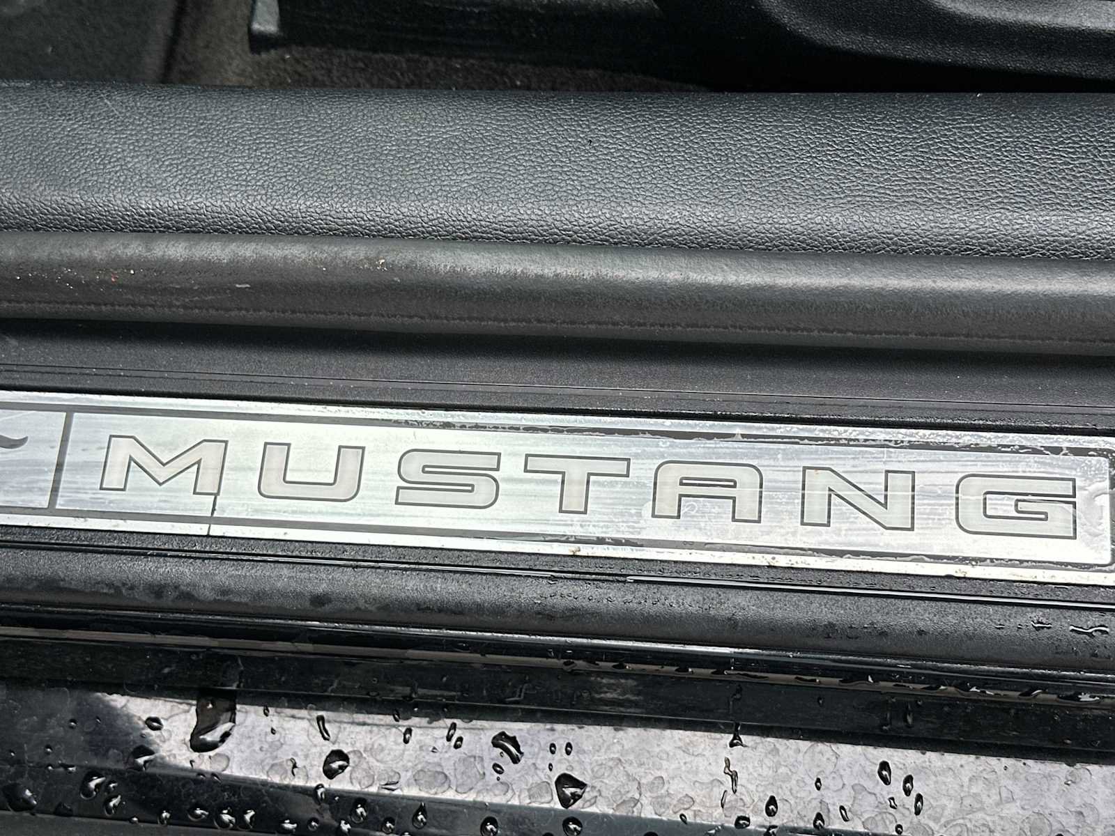 Used 2017 Ford Mustang Premium image 11