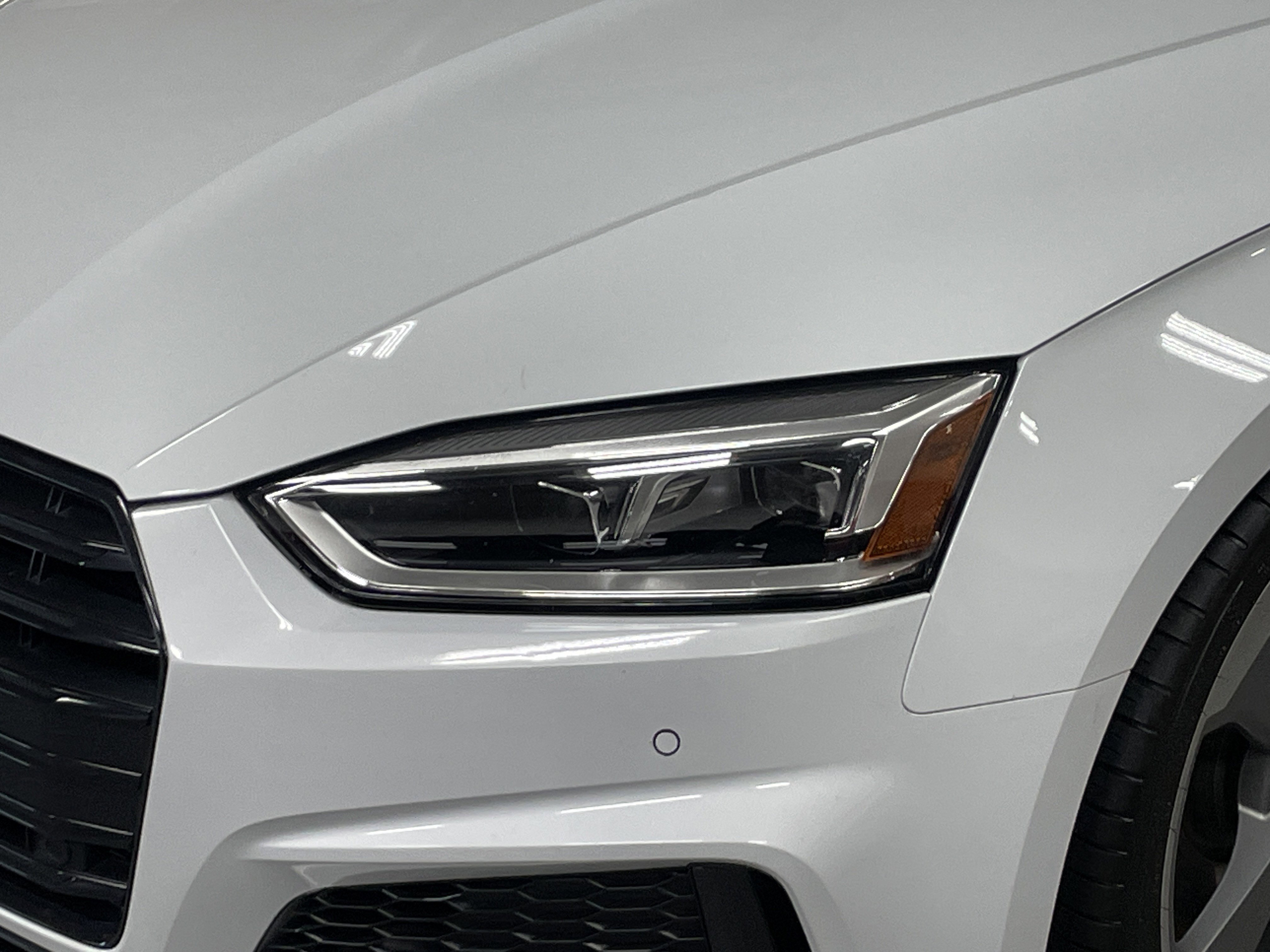 Used 2019 Audi S5 Premium Plus w/ Premium Plus image 6