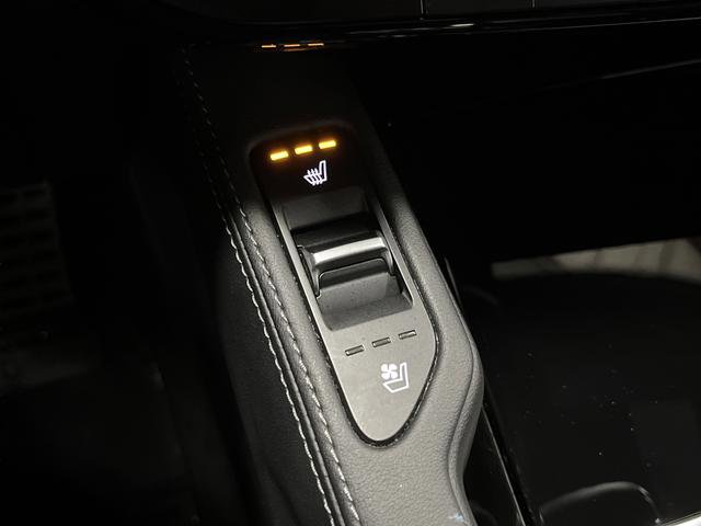 Used 2024 Kia Telluride SX Prestige X-Line image 8