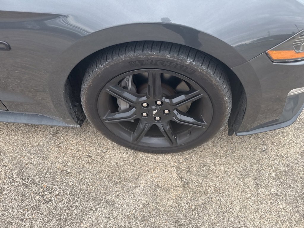 Used 2019 Ford Mustang GT w/ Black Accent Package image 17