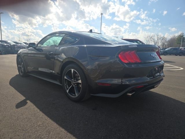 Certified 2023 Ford Mustang EcoBoost w/ Equipment Group 101A image 13