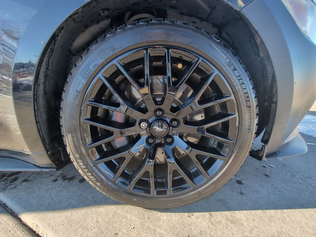 Used 2015 Ford Mustang GT Premium w/ GT Performance Package image 33