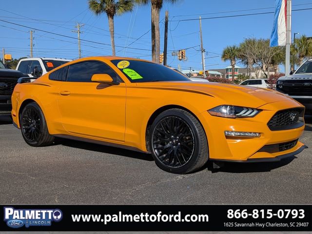 Used 2019 Ford Mustang EcoBoost w/ Equipment Group 101A image 2