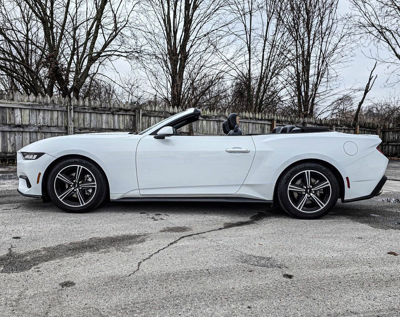 Used 2024 Ford Mustang Premium image 9