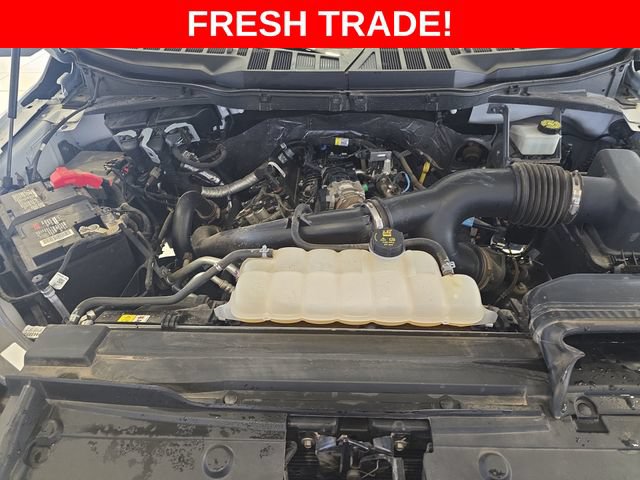 Used 2023 Ford F150 XL w/ XL Chrome Appearance Package AWD/4WD image 21