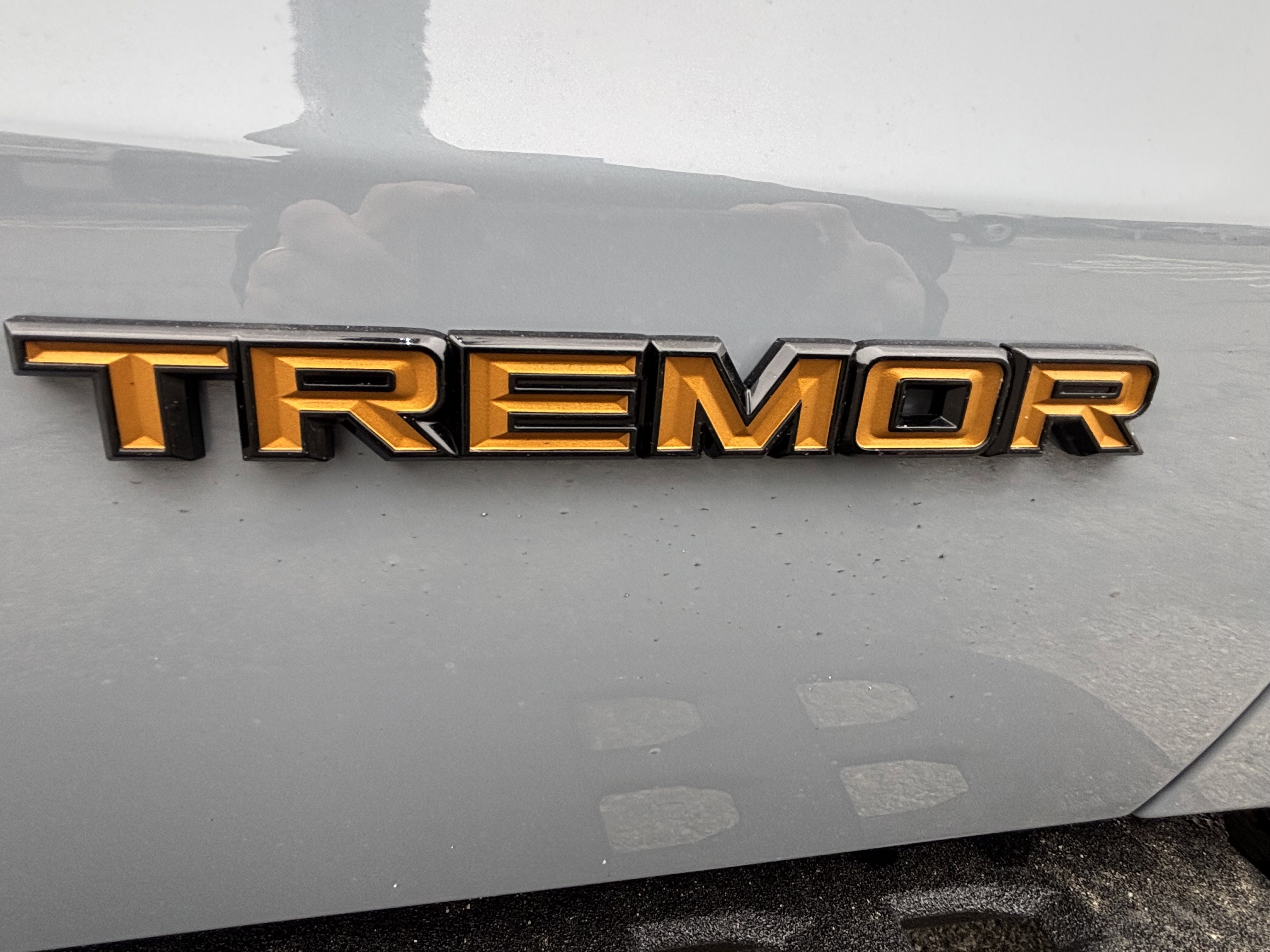 New 2025 Ford Expedition Tremor image 14