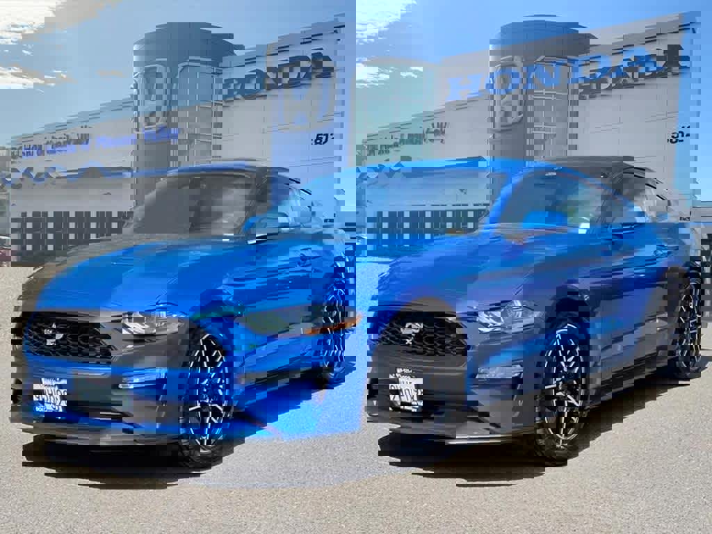 Used 2021 Ford Mustang EcoBoost w/ Equipment Group 101A image 1