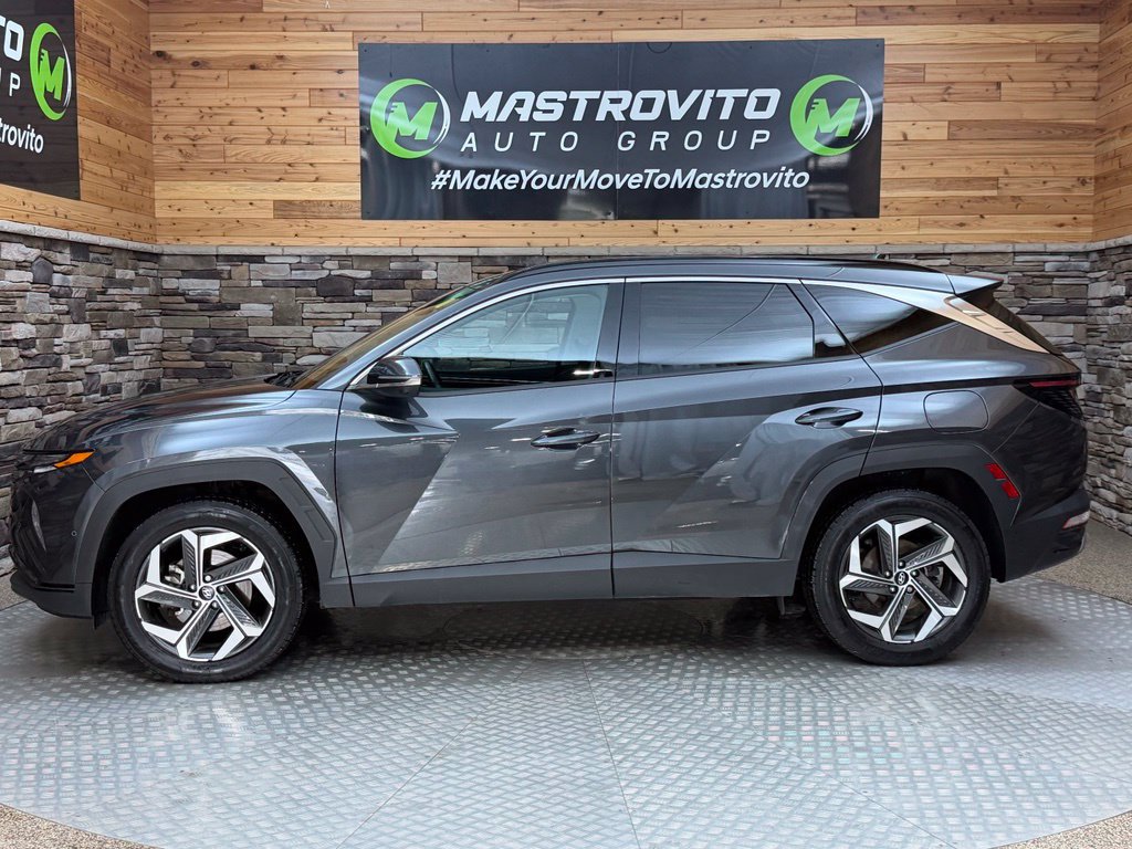 Certified 2023 Hyundai Tucson Limited w/ Cargo Package AWD/4WD image 15