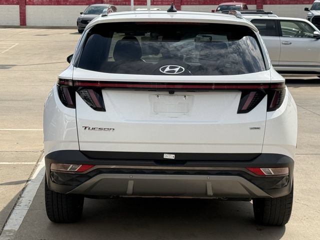 Used 2024 Hyundai Tucson Limited AWD/4WD image 5