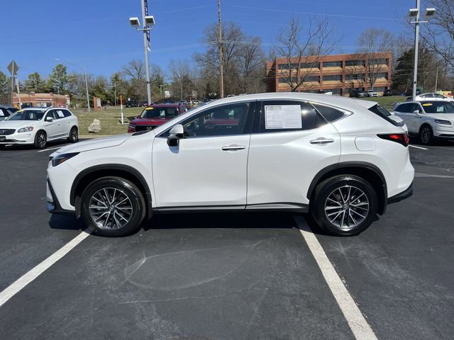 Used 2025 Lexus NX 350 AWD w/ Cold Area Package image 6