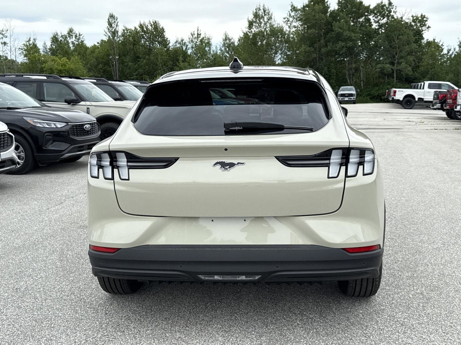 New 2025 Ford Mustang Mach-E Select w/ Comfort Package Lite image 7