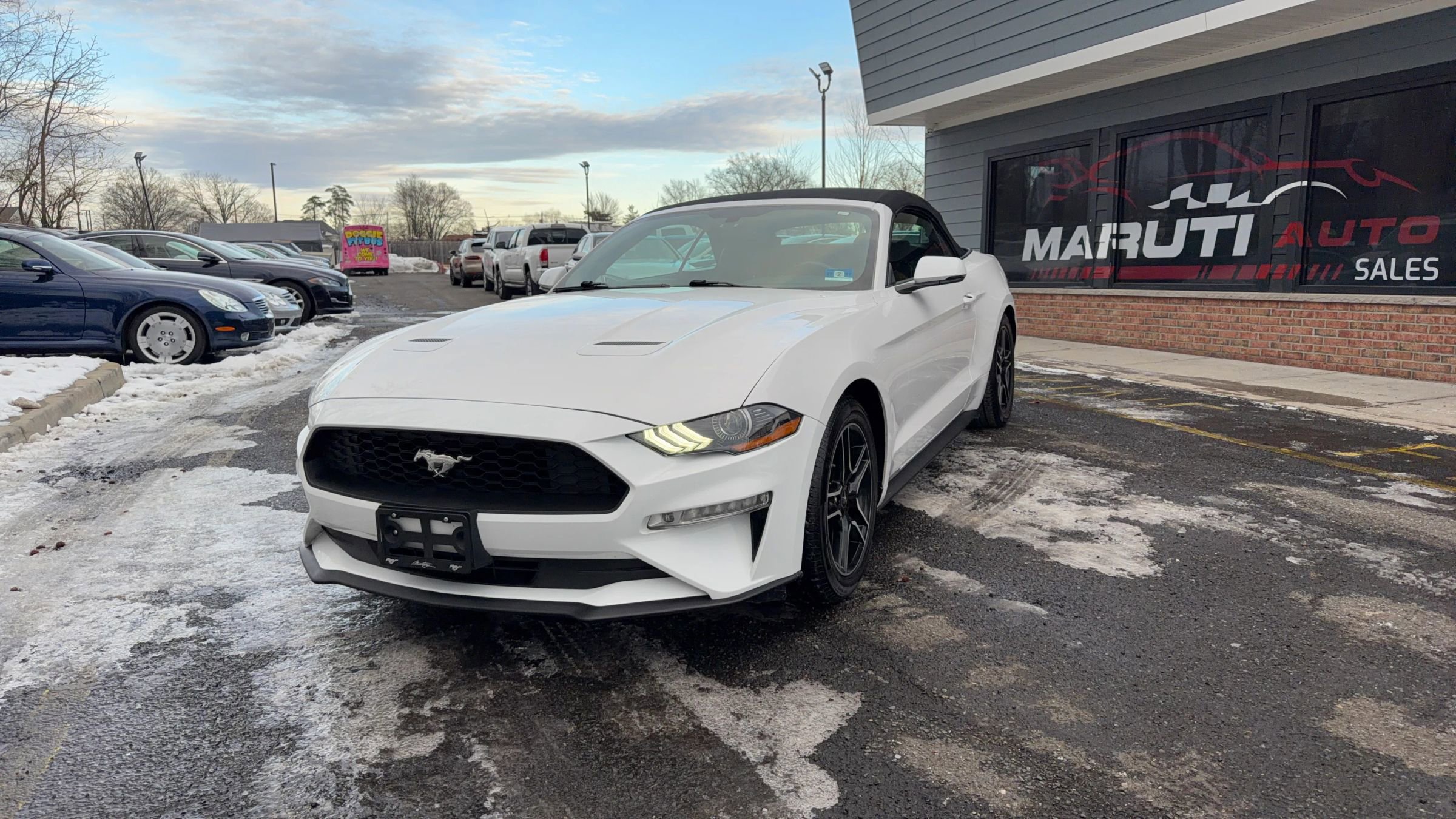 Used 2020 Ford Mustang Premium image 1