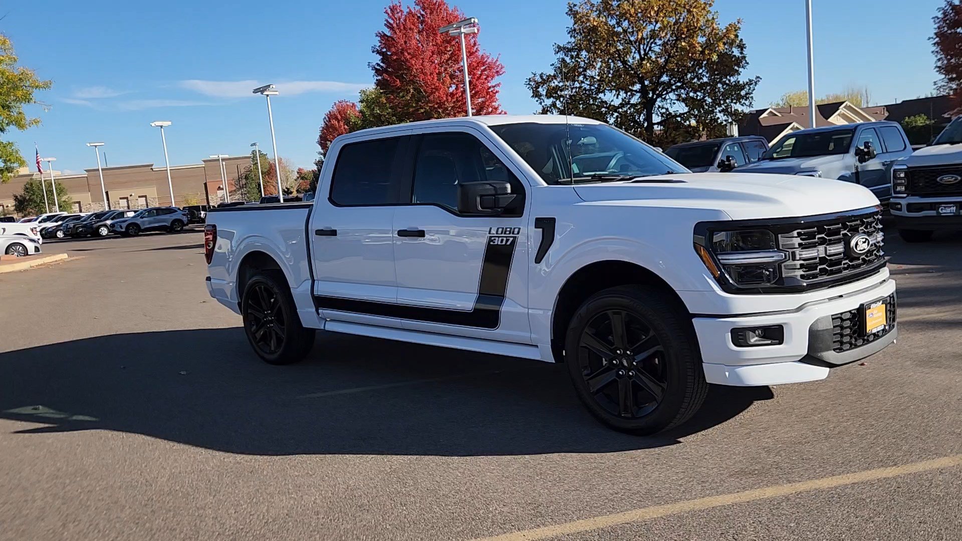 Used 2026 Ford F150 STX w/ F-150 LOBO Package AWD/4WD image 8
