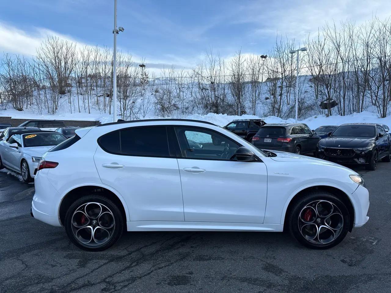 Used 2022 Alfa Romeo Stelvio Veloce image 11