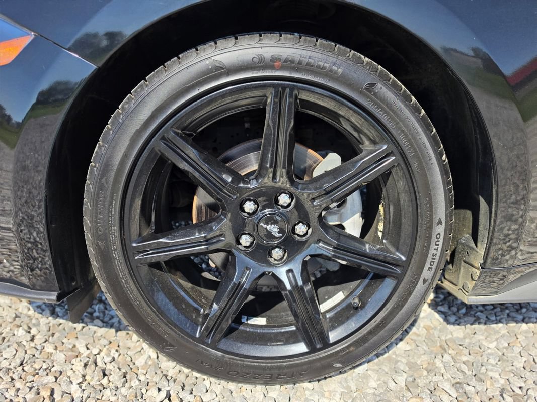 Used 2019 Ford Mustang Coupe w/ Ford Safe & Smart Package RWD image 17