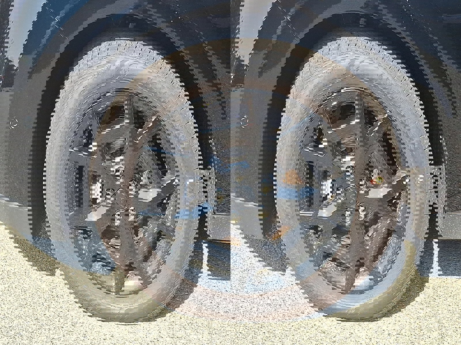 New 2026 Kia Carnival SX Prestige image 5