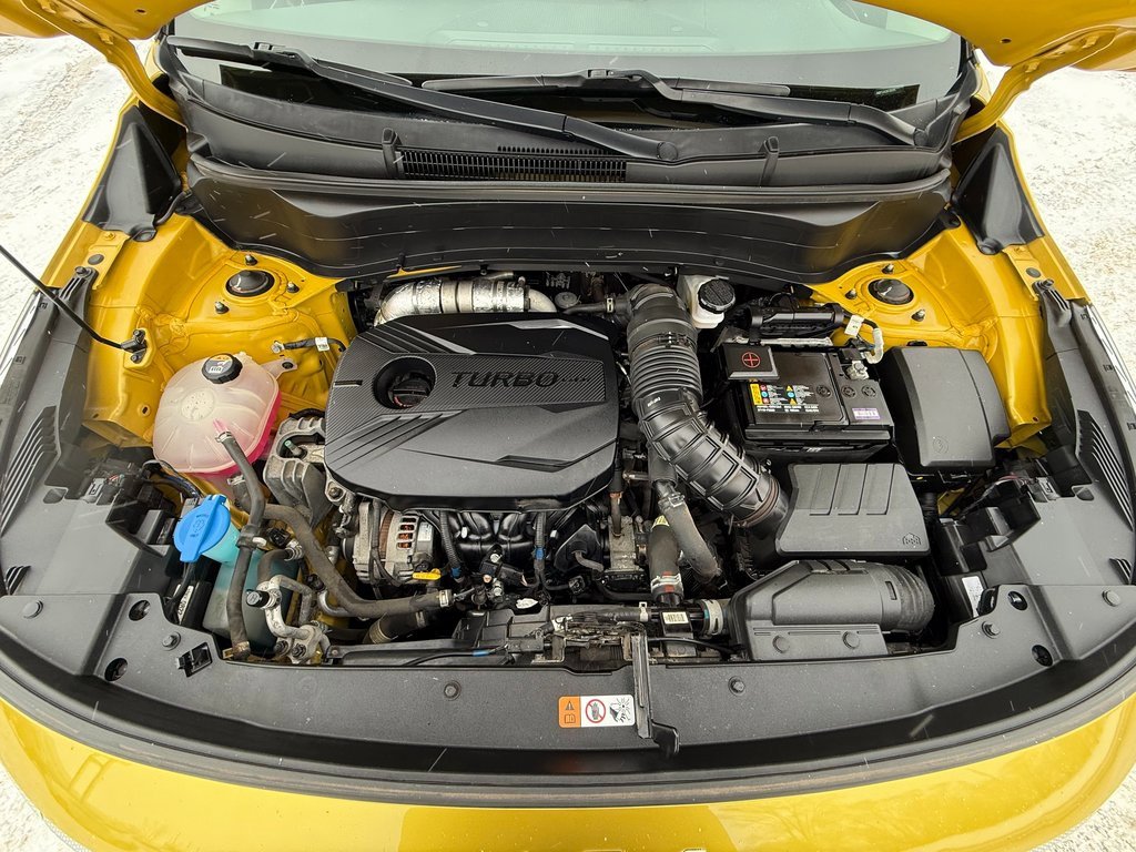 Used 2022 Kia Seltos SX w/ Sunroof Package image 10