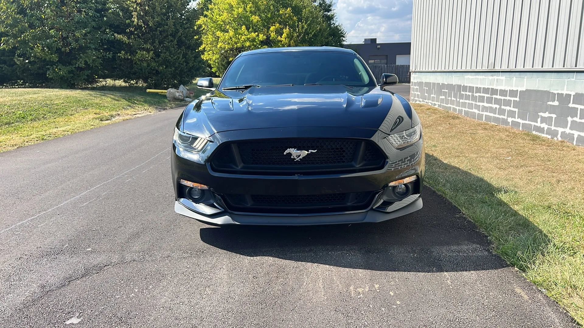 Used 2015 Ford Mustang GT w/ GT Performance Package image 2