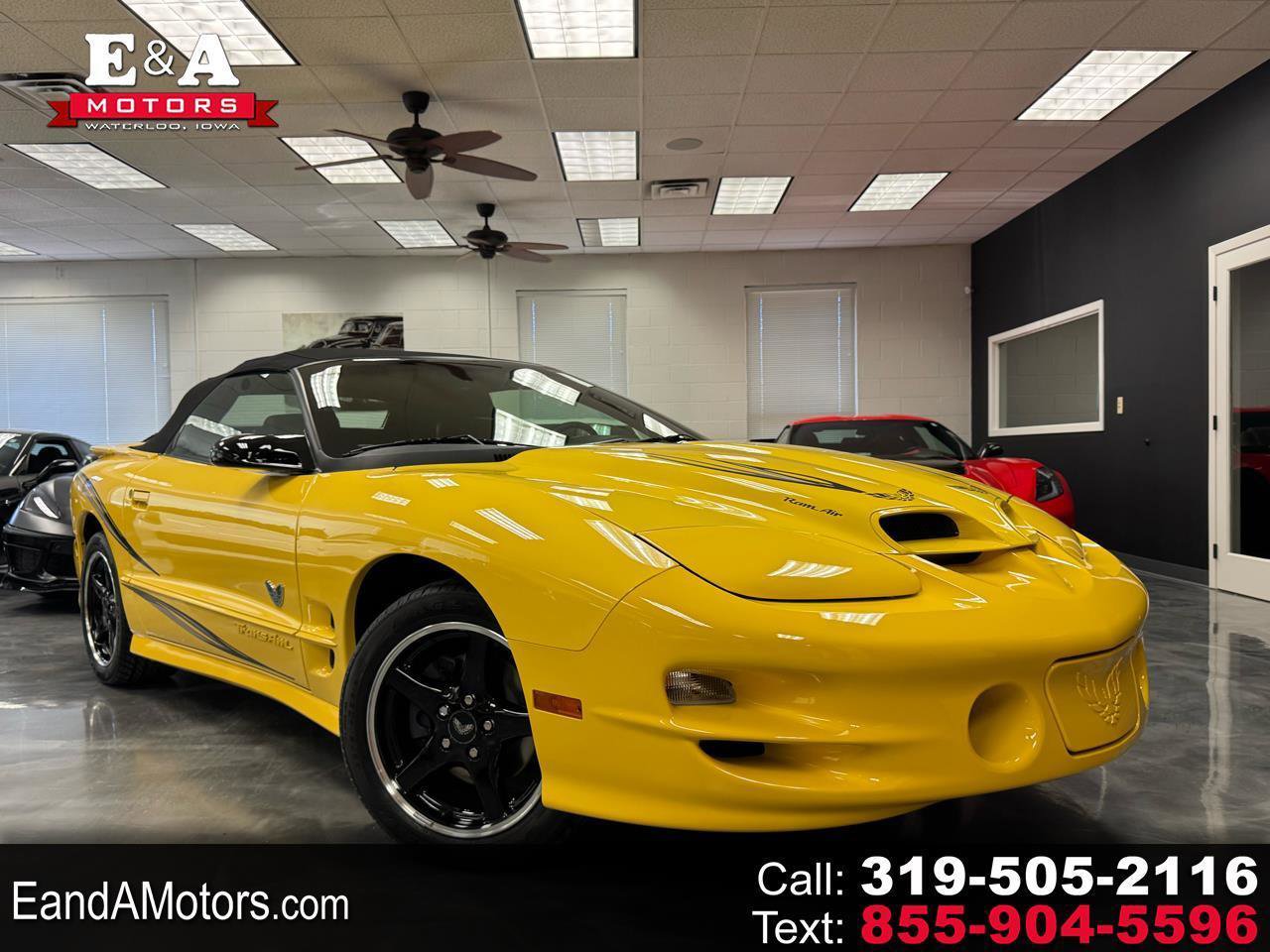 Used 2002 Pontiac Firebird Trans Am